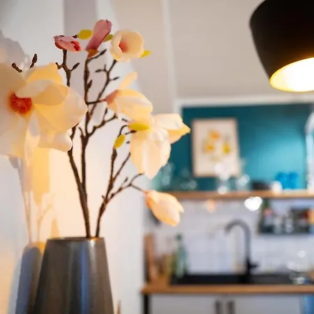 Magnolia Im Souterrain * Kassel