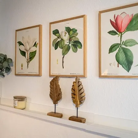 Magnolia Im Souterrain * Kassel