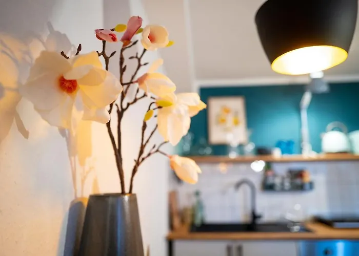 Magnolia Im Souterrain * Kassel