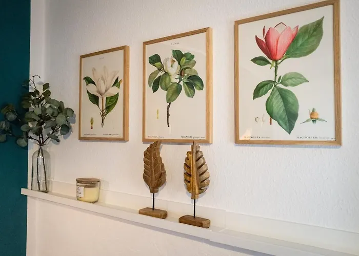 Magnolia Im Souterrain * Kassel